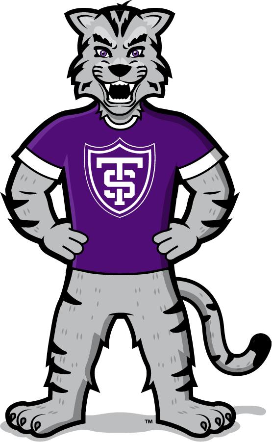 St. Thomas Tommies 2021-Pres Mascot Logo v4 DIY iron on transfer (heat transfer)